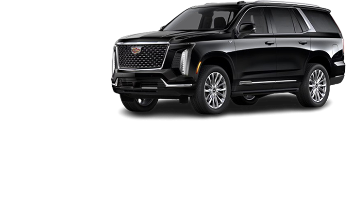ALL STAZ LIMOUSINE LLC
